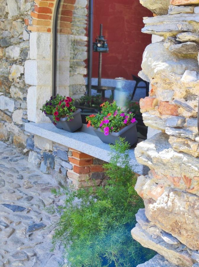 Agriturismo Il Medeghino Musso Buitenkant foto